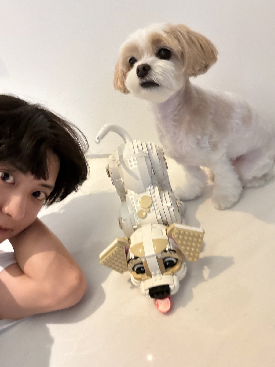 250914 CHANYEOL 🍒💭

"Are you asleep..?"

"I'm in China now!"

[Photo x 2]

#찬열버블