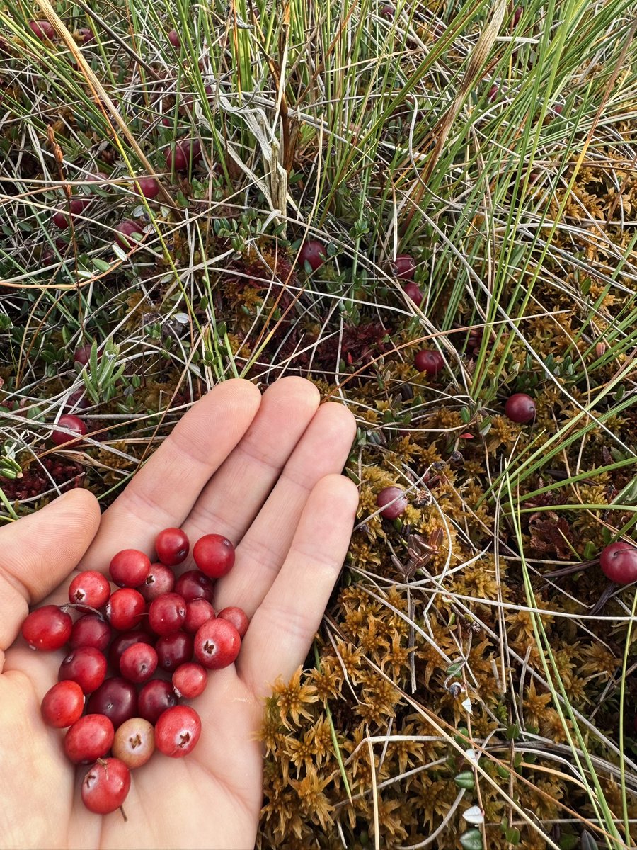 Идеальный вечер субботы