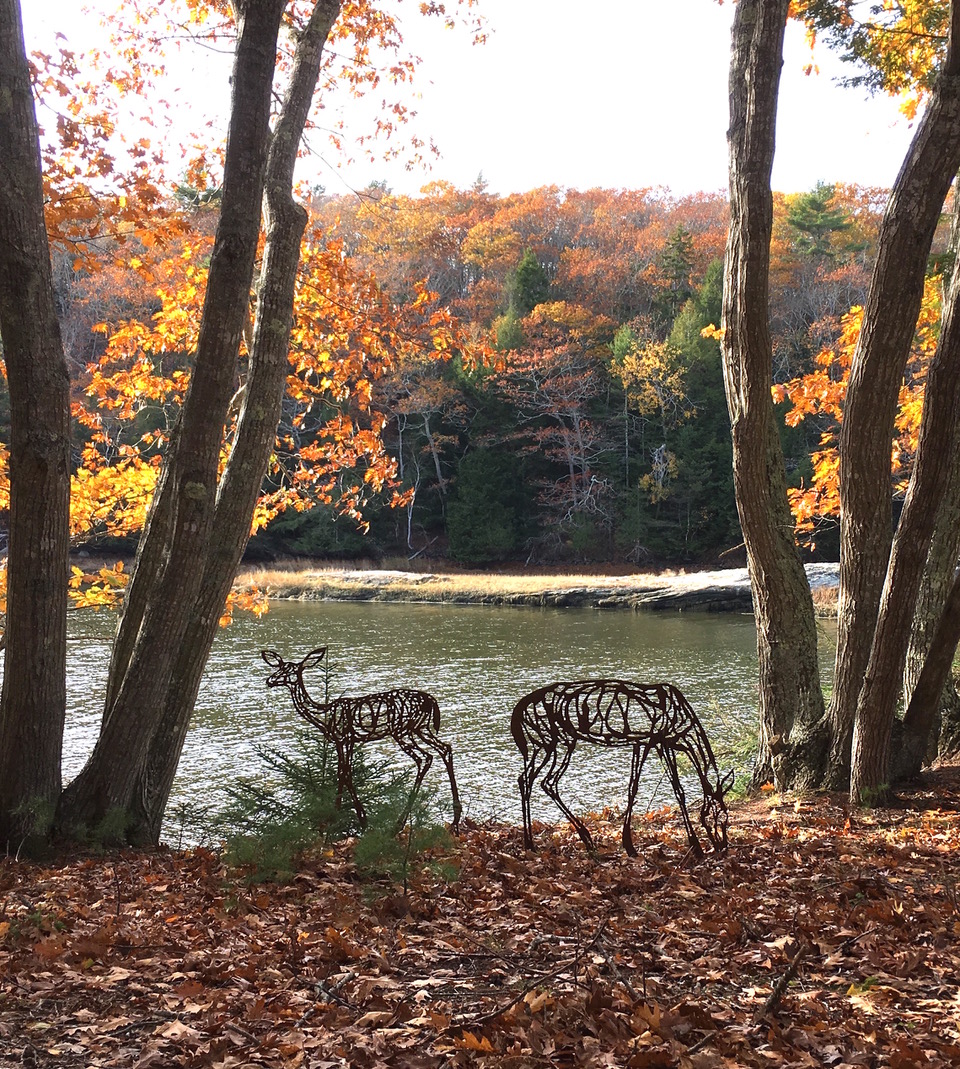 Join us tomorrow (9/14) at 1:30 p.m. for the Flying Horse Sculpture Exhibit Opening Reception. Can't make it? No worries...the free exhibit runs through November 30, seven days a week from dawn until dusk.