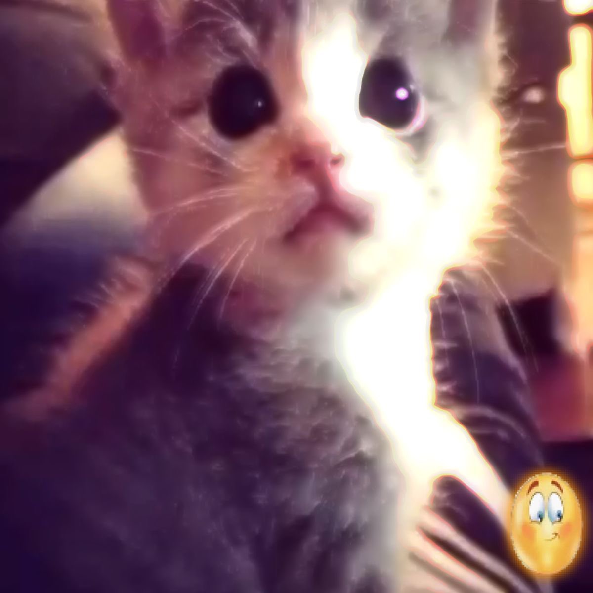 _g2dh's tweet image. 