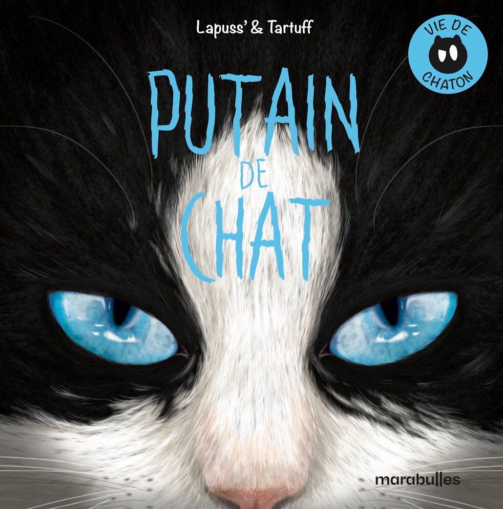 Putain_de_Chat's tweet photo. 🎉😻 Putain de chat a 10 ans 😻🎉

Et pour fêter ça le tome 0 qui raconte la naissance de Moustique sort le 8 octobre!
Dispo en précommande :

Ici 👉 https://t.co/pxWRGujCDX 

Avec @EditionMarabout 🤝 on a tout fait pour qu'il soit dispo à noël ! 
À vous de jouer, merci pour tout https://t.co/fJOYL0kl4N