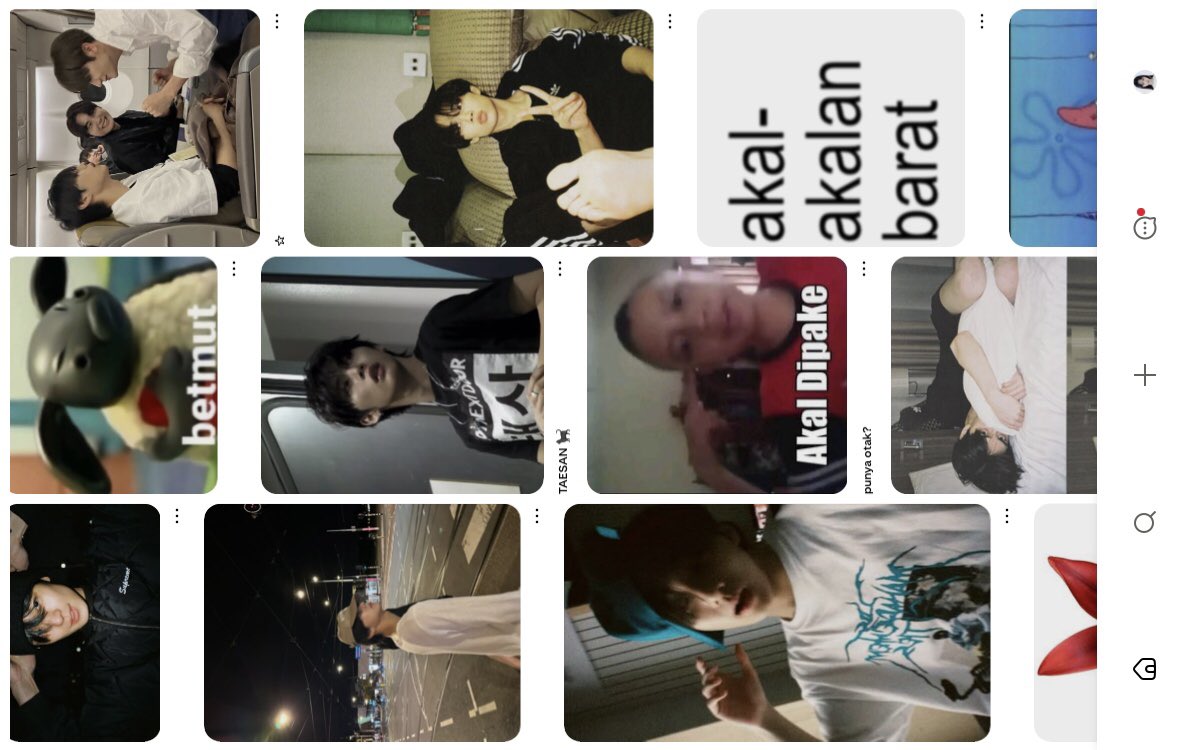 solara voyage 𖦹 tweet media