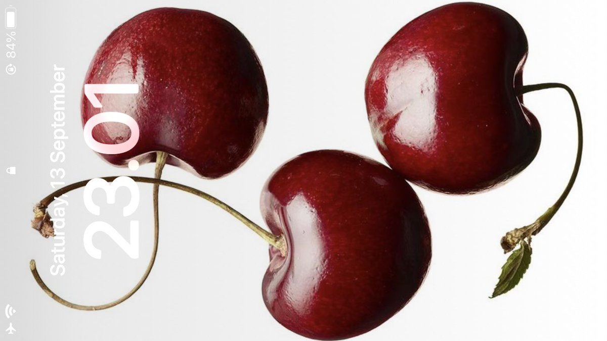 solara voyage 𖦹 tweet media