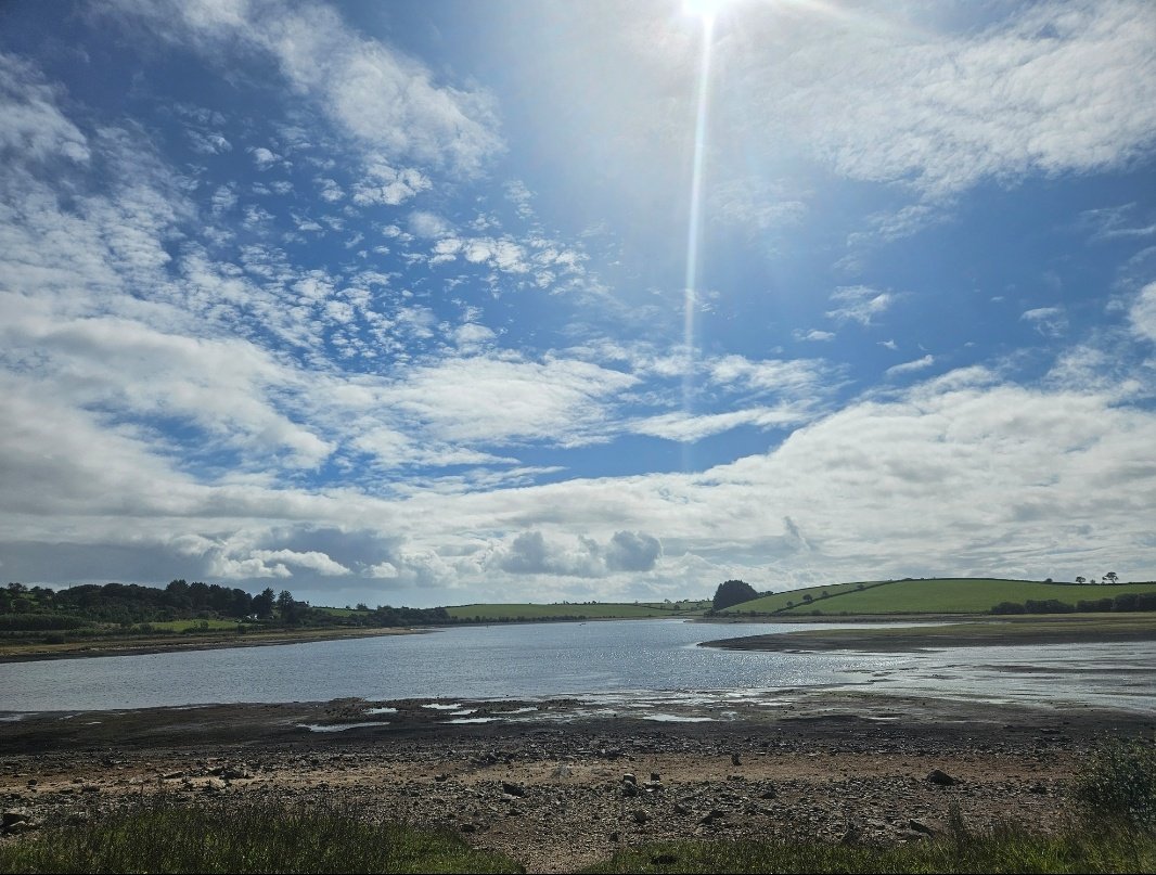 ED Birding tweet media