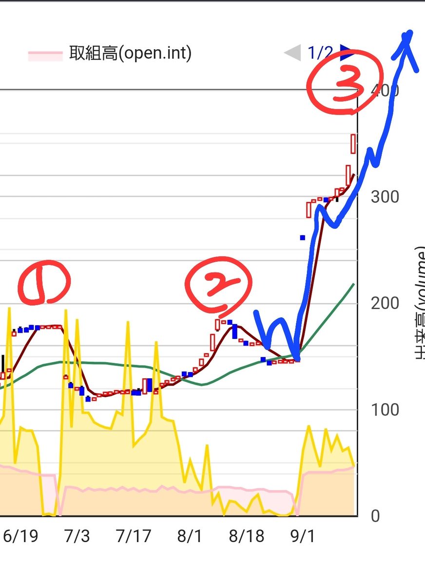 前回でも再度、私はチャート手書きにて予測したが一度下落調整して再度、3回目の史上最高値を更新するコメントしたが、ズバリ的中して事実となった👋

今回は、大窓の他にも幾つかの窓を空けて出来高を伴っての急上昇である❣️

カラ売りの踏み上げのショートカバーに、強気の順バリで更なる青天井へ💪