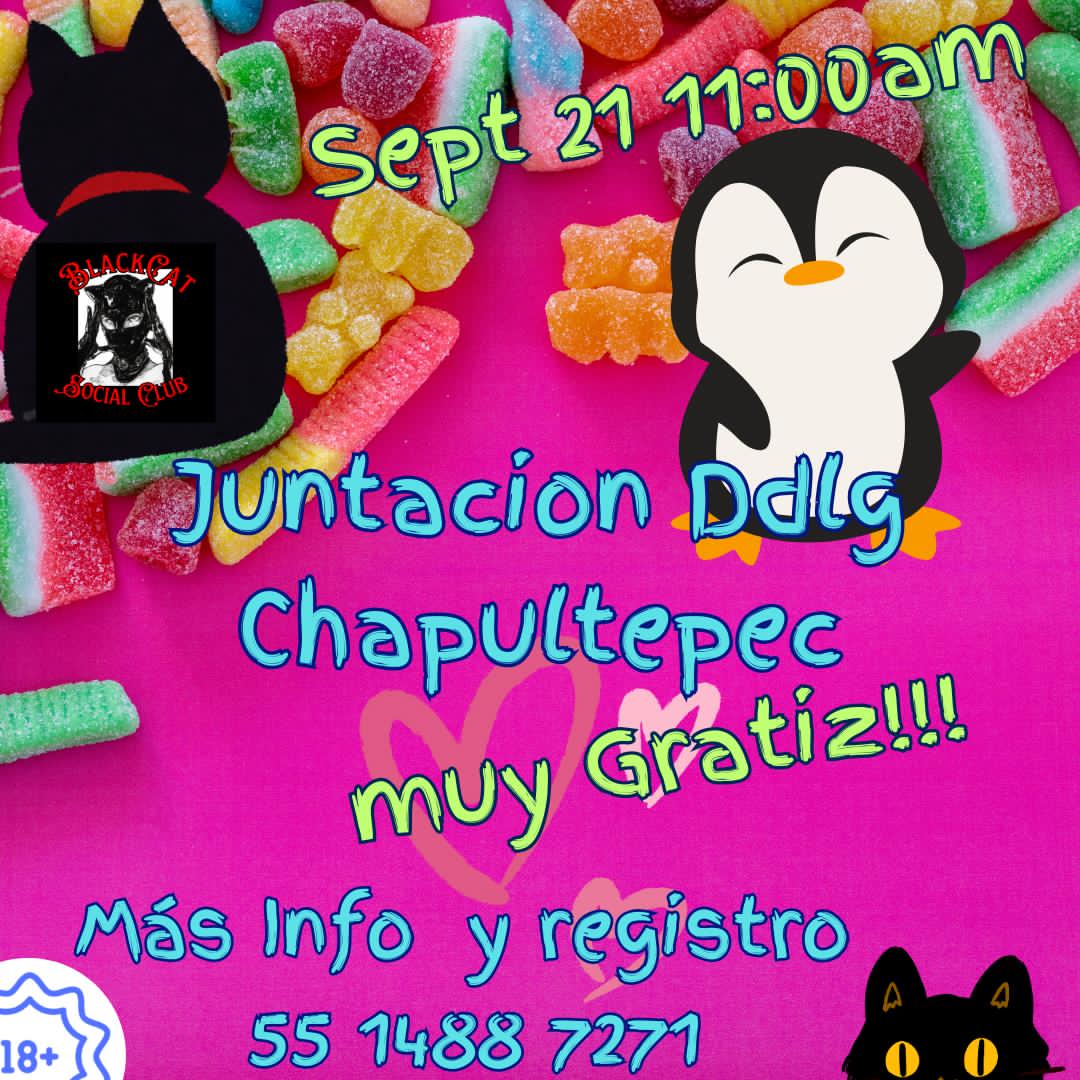 🐈‍⬛ Nos vemos en este evento de la comunidad little de BlackCat Social Club, la cita es a las 11 en la entrada del Museo de Arte Moderno de Reforma.