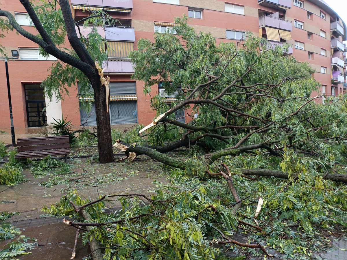 No tan sols ha estat la pluja i la pedra, també el vent, a Ripollet ha destrossat molts arbres <a href="/som3cat/">3Cat</a> #Ripollet