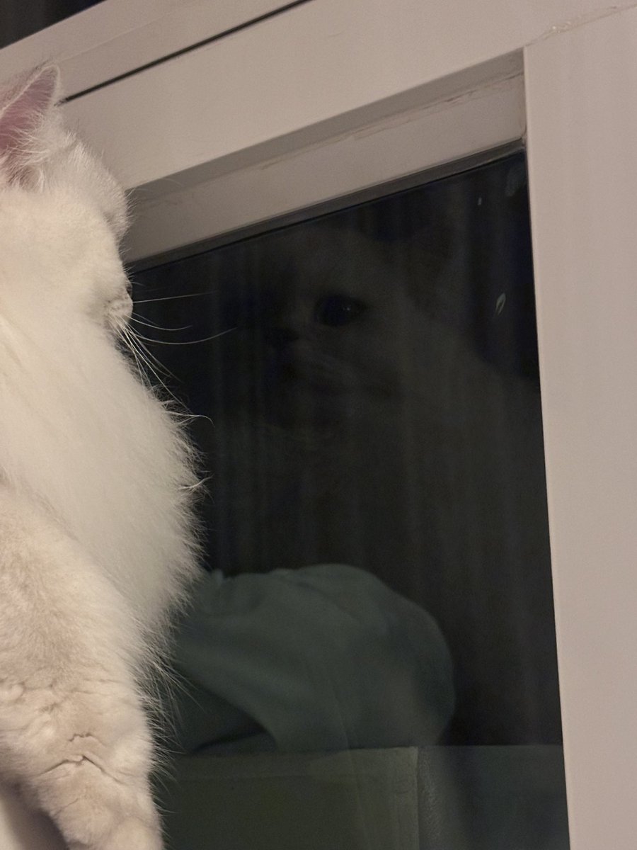 ตัวไหนดีคับ😹