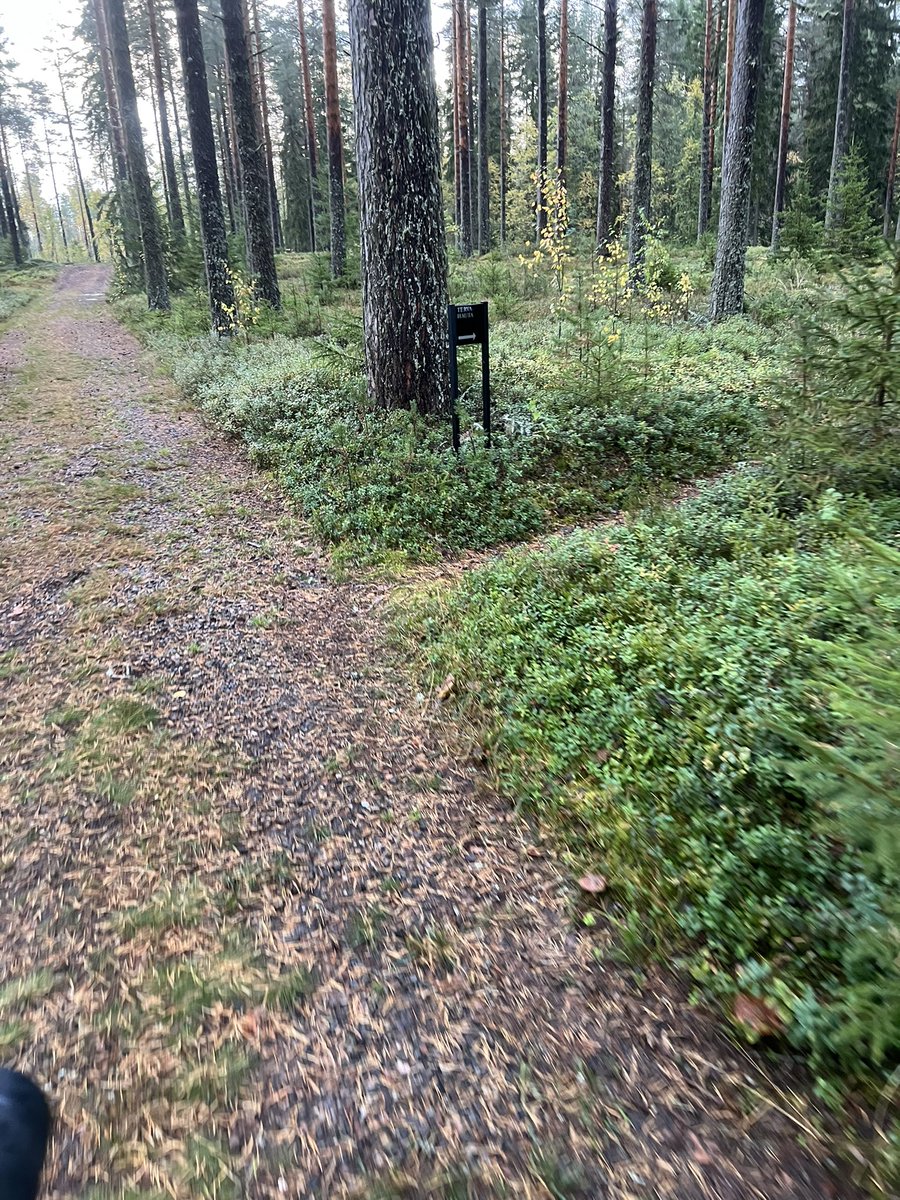 Täälläpä #ruska2025
