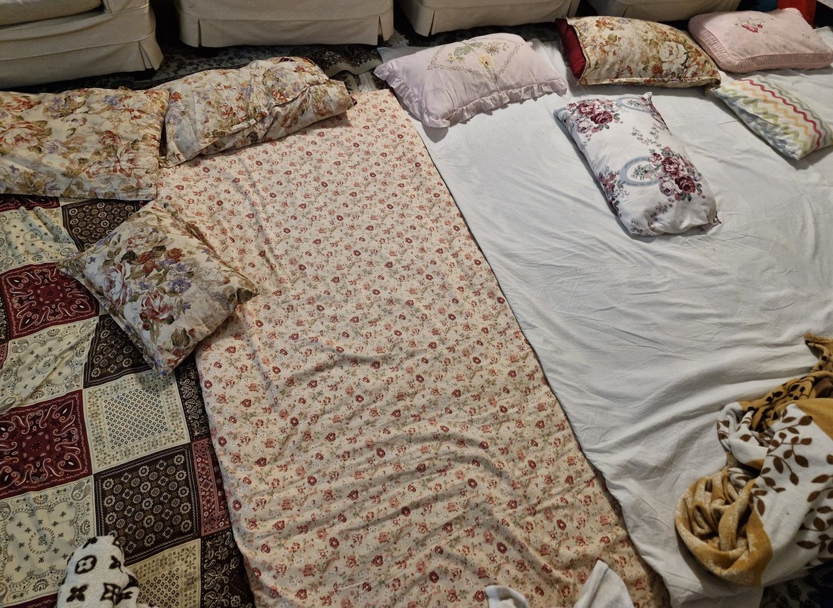 دلم تنگ شده بود برای تکرار این صحنه 🥹
تا وقتی هستن سایشون بالا سرتونه تا وقتی دعوا و اینا نشده قدر لحظات خونه پدر بزرگ و مادربزرگتون بدونید❤️‍🩹