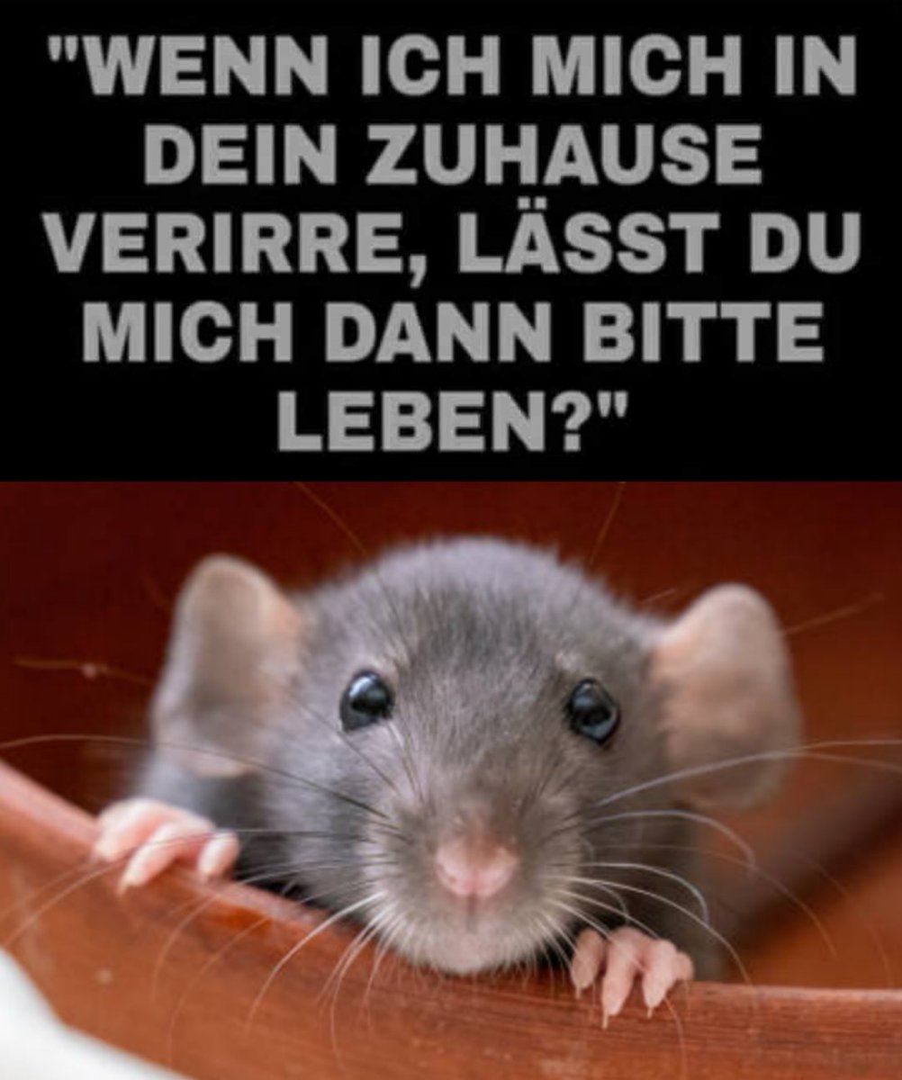 SELBSTVERSTÄNDLICH!💗