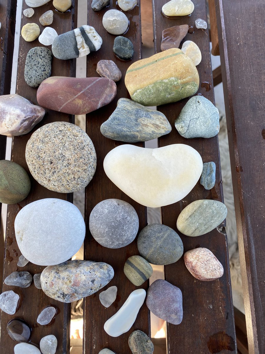kmfitz013's tweet photo. Block Island beach treasures. #LoveBlockIsland https://t.co/Z2gTmWbOZX