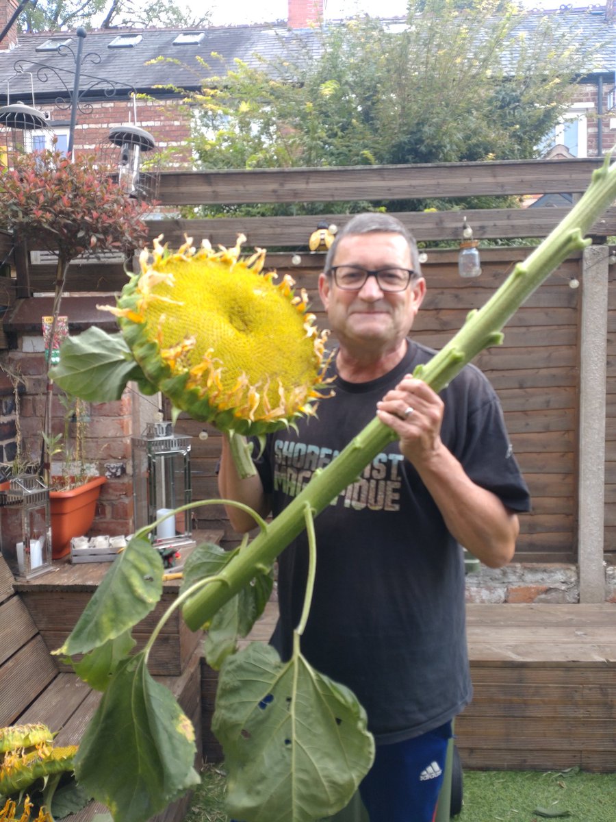 Paul Heaton tweet media