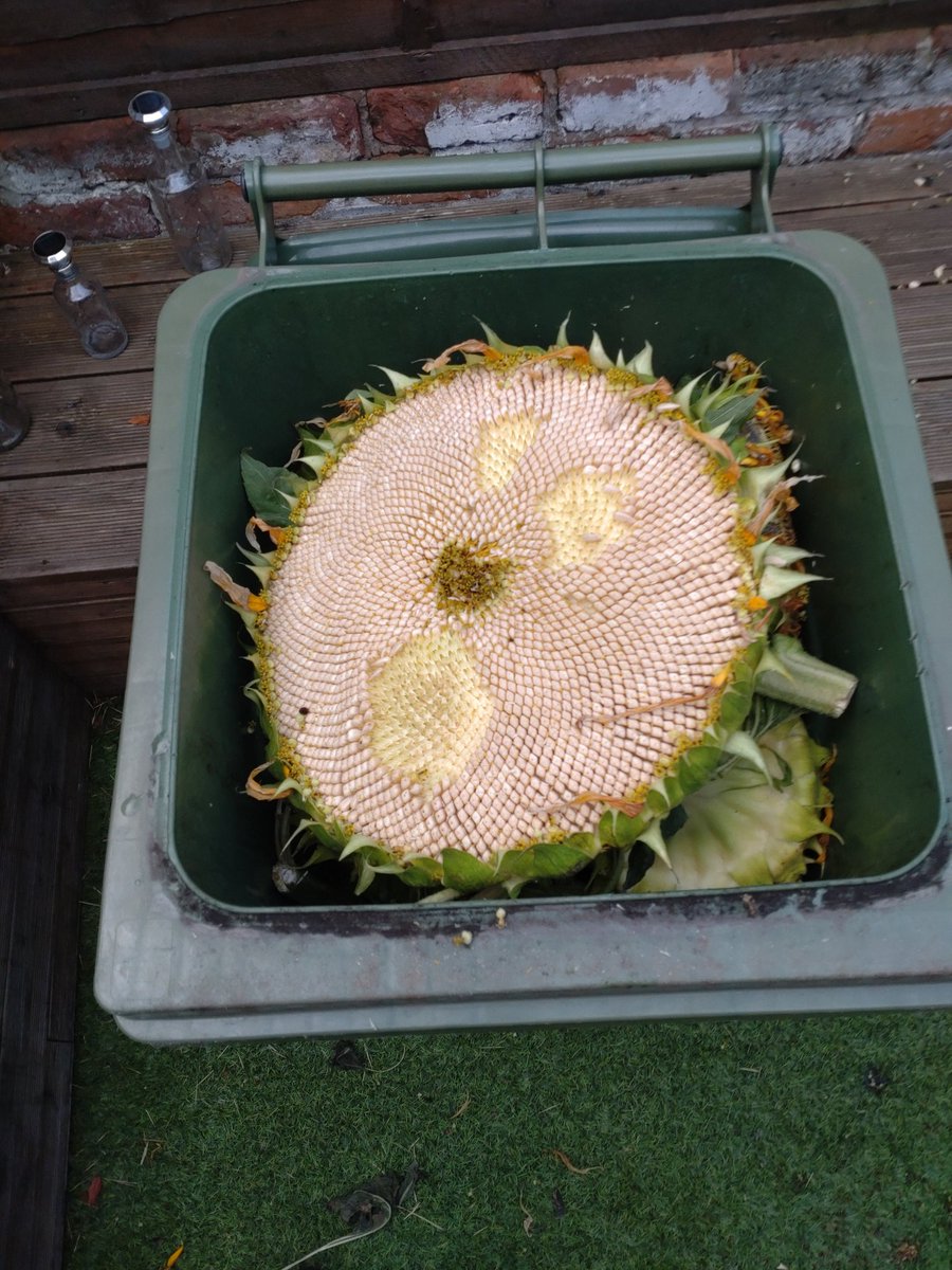 Paul Heaton tweet media