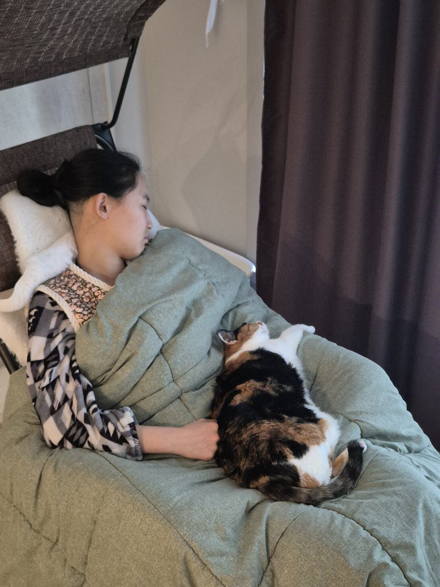yeneex2's tweet photo. 매번 엄마랑 꼭 붙어서 자는 점프 https://t.co/91UplG54BN