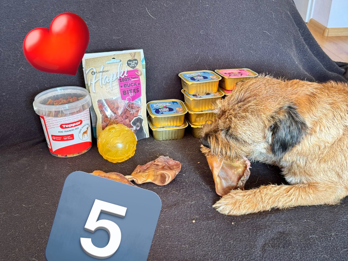 Ruben, Hendrik🐾, Kelso🐾🌈 tweet media