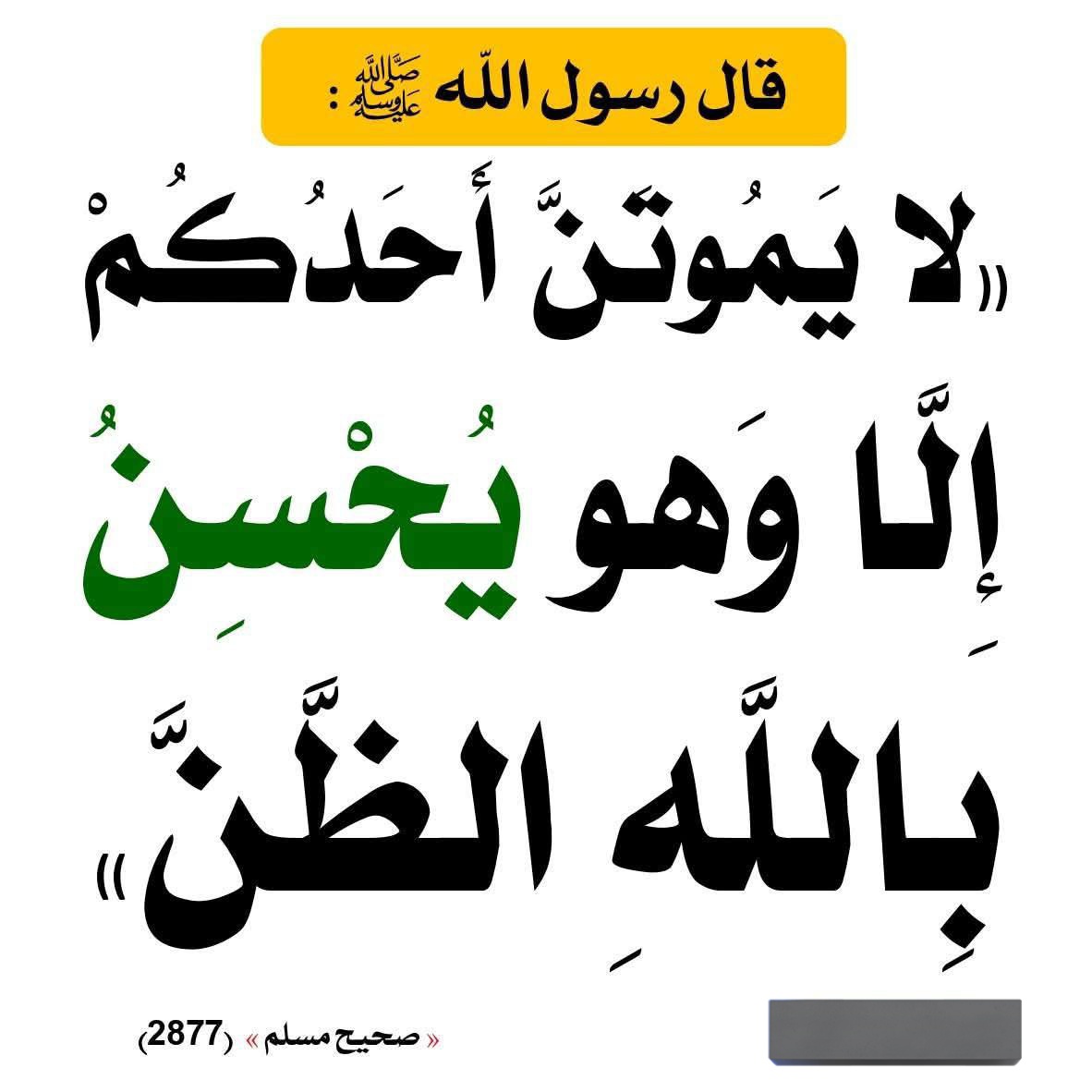 الْحَدِيث النَّبَوِيّ 📚 (@hadith_alnubui) on Twitter photo 