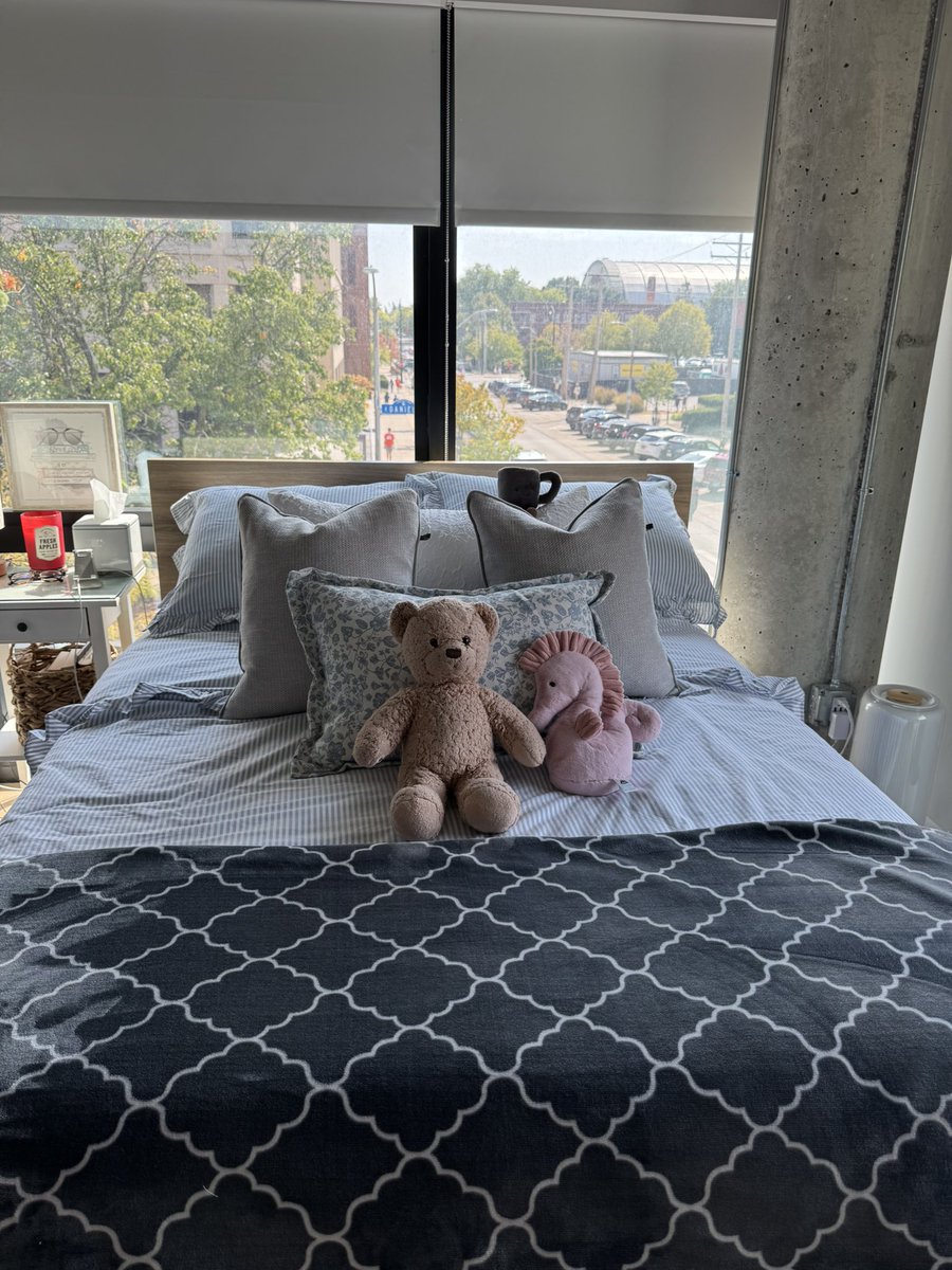 Andriana tweet media