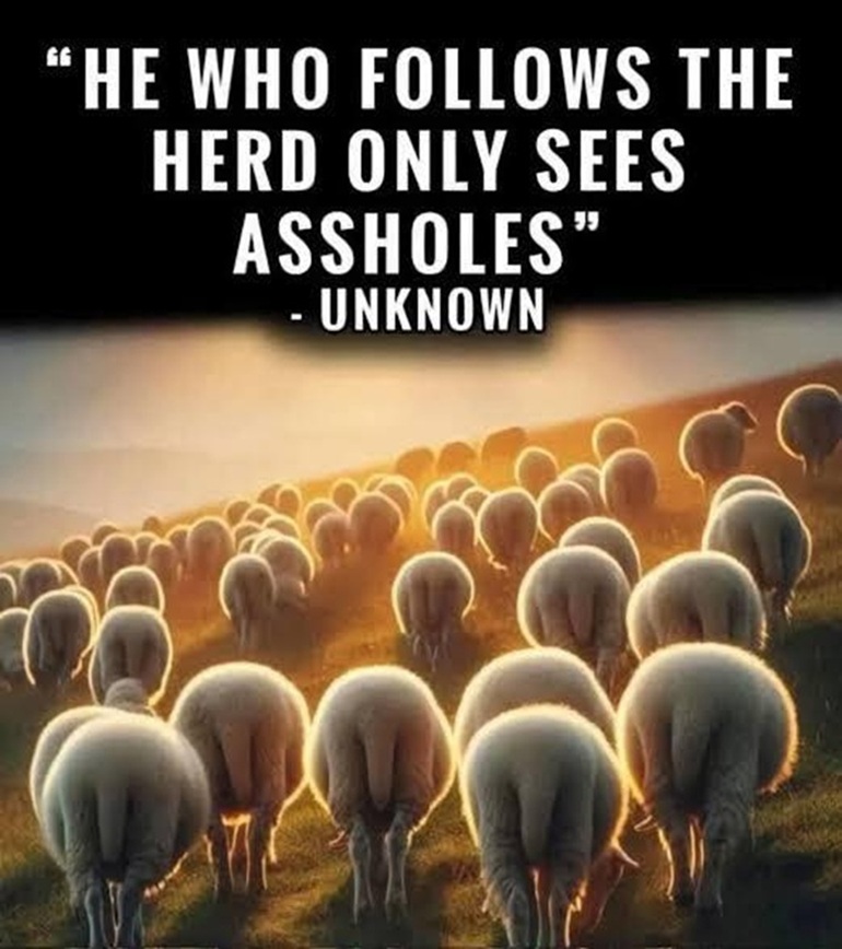 "He who follows the herd only sees assholes" - Unknown🤓