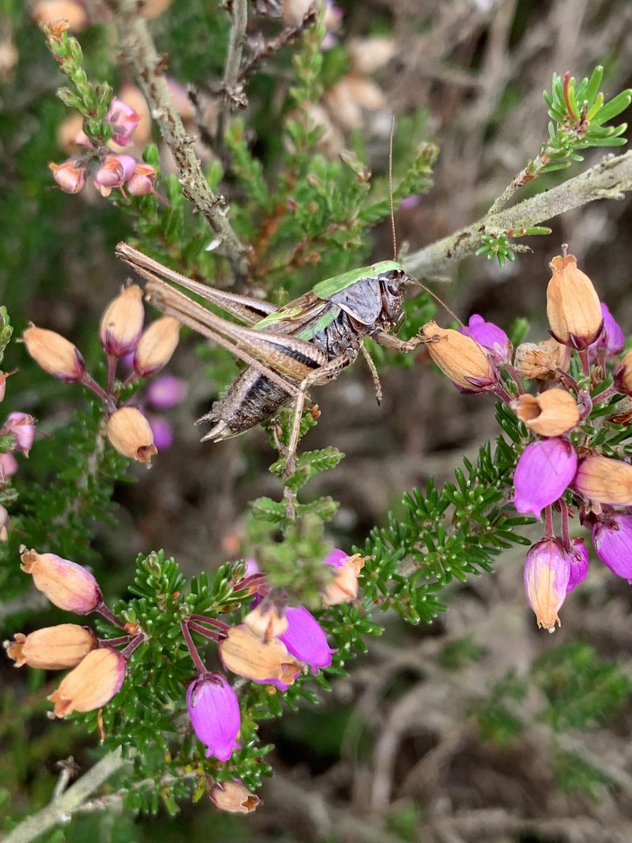 Dr Stuart Green 🇺🇦 tweet media