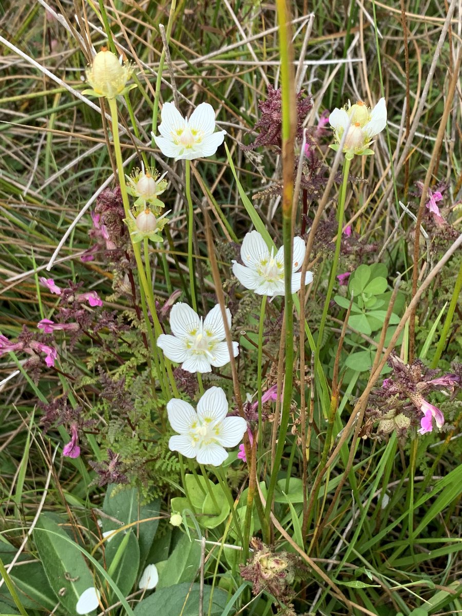 Dr Stuart Green 🇺🇦 tweet media