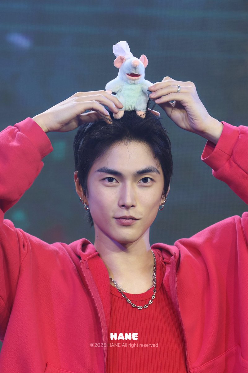 ꕤ ʜᴀɴᴇ ꕤ tweet media