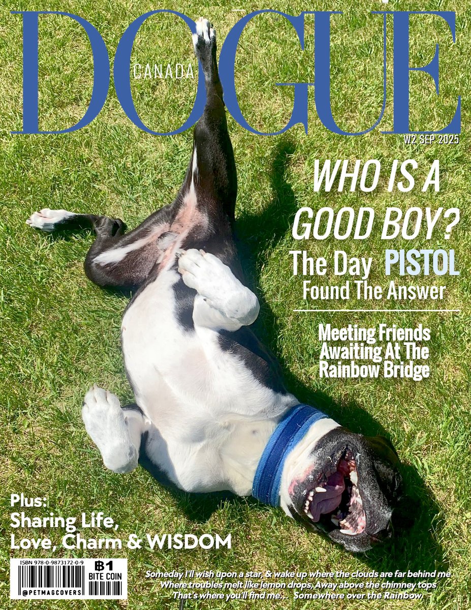 Today, on the cover of DOGUE Magazine: Pistol ( <a href="/HeyPistol/">HEY,I AM PISTOL</a> )
Our deepest condolences Pistol's dad.
This brave &amp; generous dog not only shared life &amp; joy but also donated blood many times, saving others &amp; leaving behind a legacy of kindness, making this world a better place. #Dogs