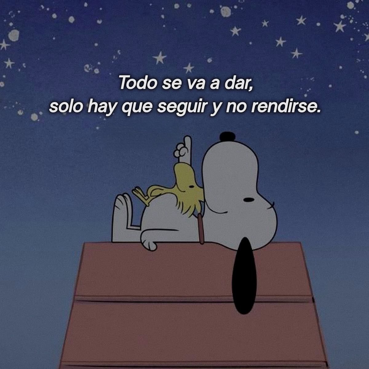 dilocondibujos_'s tweet image. 