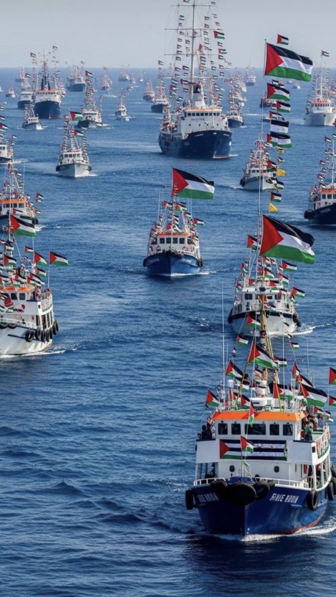 Giovanna Righi tweet media