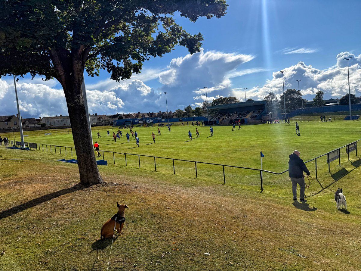 Ryan Moffat tweet media