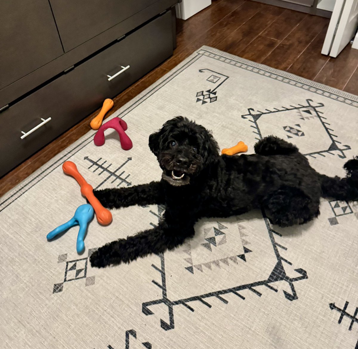 Jordan Fiegleman tweet media