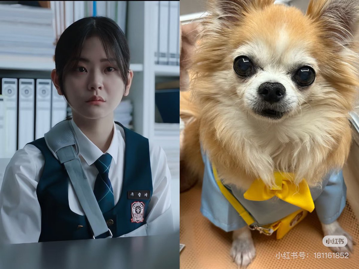 littlemouse (@mousedimo) on Twitter photo 