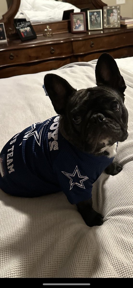 Rusty__Johnson's tweet image. Rocky got a delivery from Haley…..  he is now officially ready for the Cowboys game tomorrow….