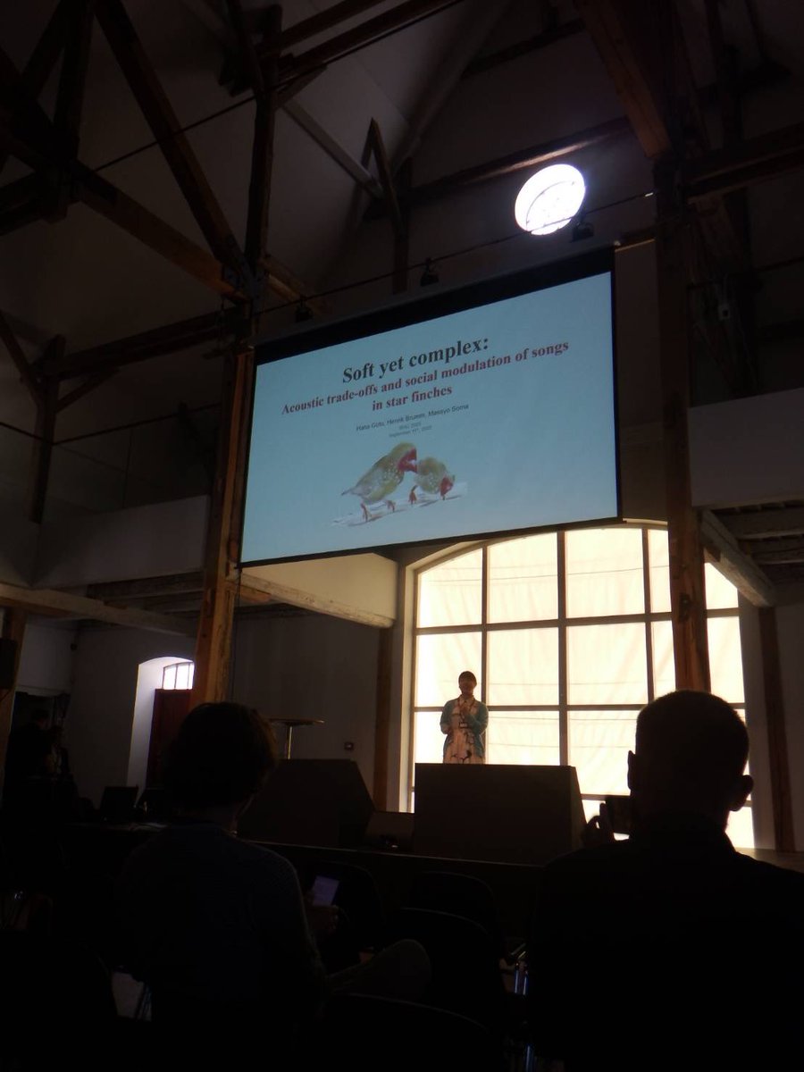 Enjoyed IBAC2025 in Kerteminde 🇩🇰 
デンマークで開催された国際生物音響学会で口頭発表をしてきました