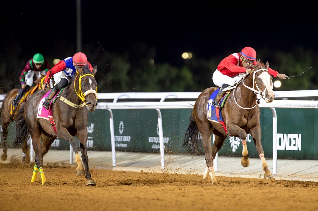 FrusiyaClub's tweet image. نتيجة الشوط الـ 9 الحفل ( 16 ) 

◻️الفائز : ديزيرت جويل
◻️المالك : ناصر سعيد خضران المطيري
◻️المدرب : سلمان العضياني
◻️الخيال : ذرب التمياط
◻️المسافة : 2000م

#نادي_سباقات_الخيل🐎
#موسم_سباقات_الطائف