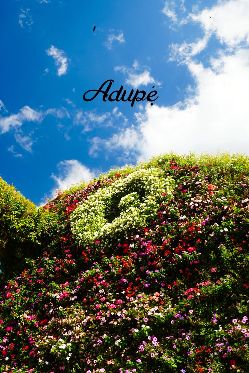 Shop Adupẹ́ now!

adupe.art