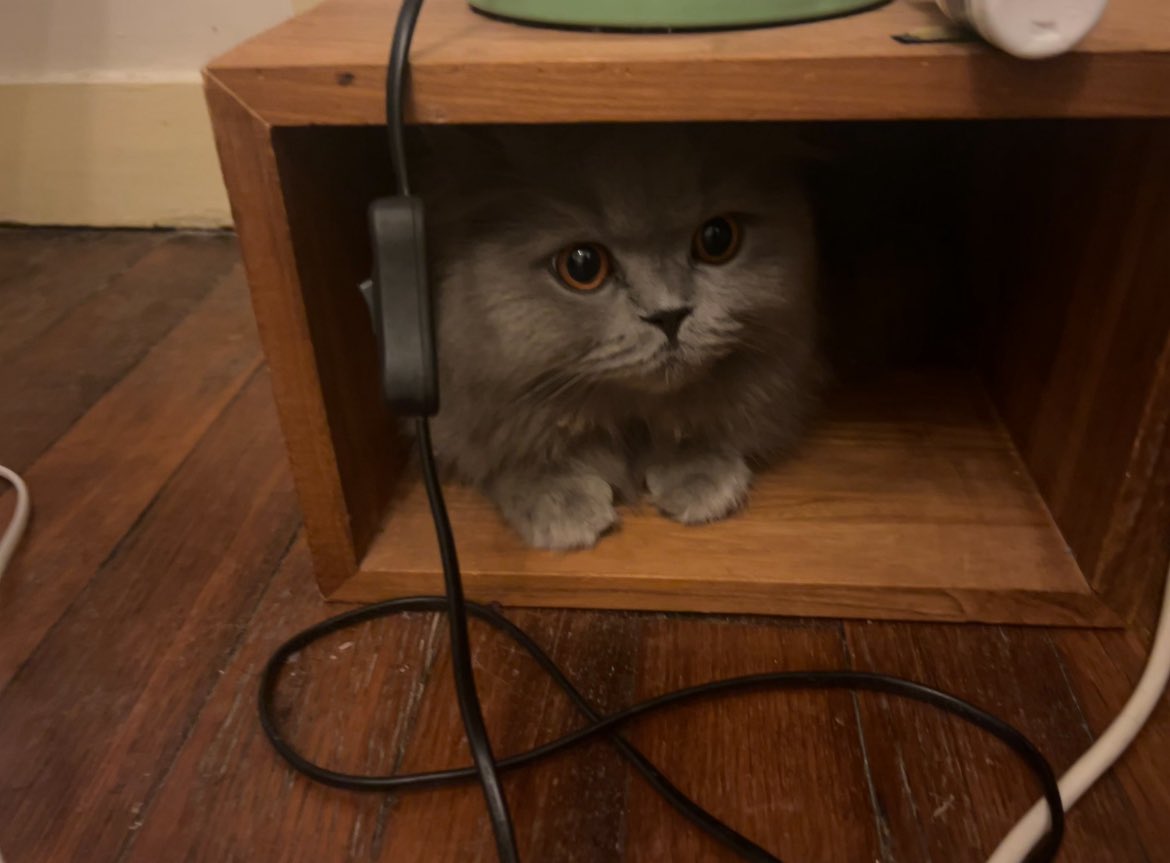 la chimiste౨ৎ tweet media