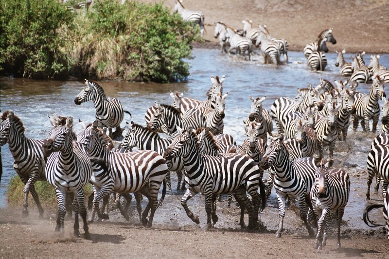 Store Newsletter - mailchi.mp/theearthorgani…