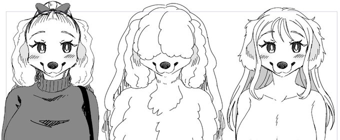 トリミングビフォーアフター 