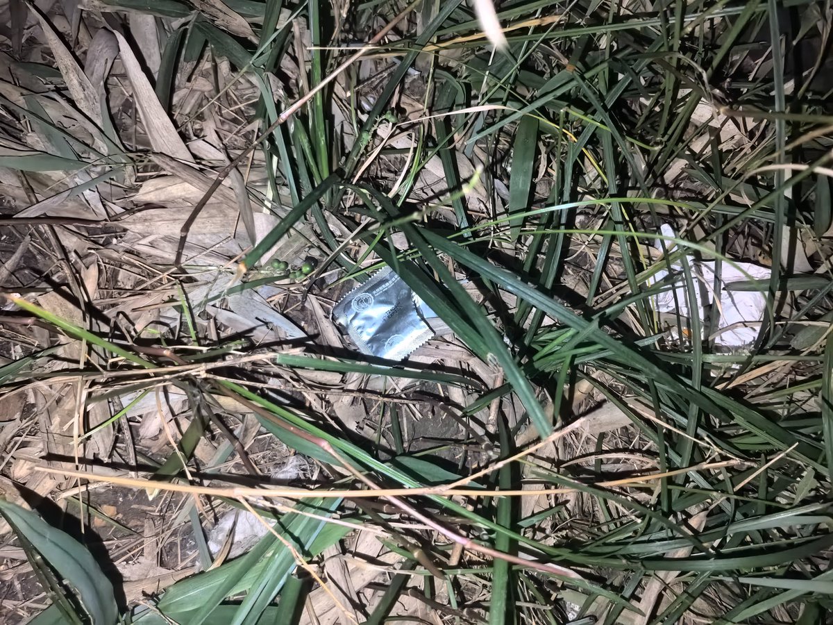 不良少年 tweet media