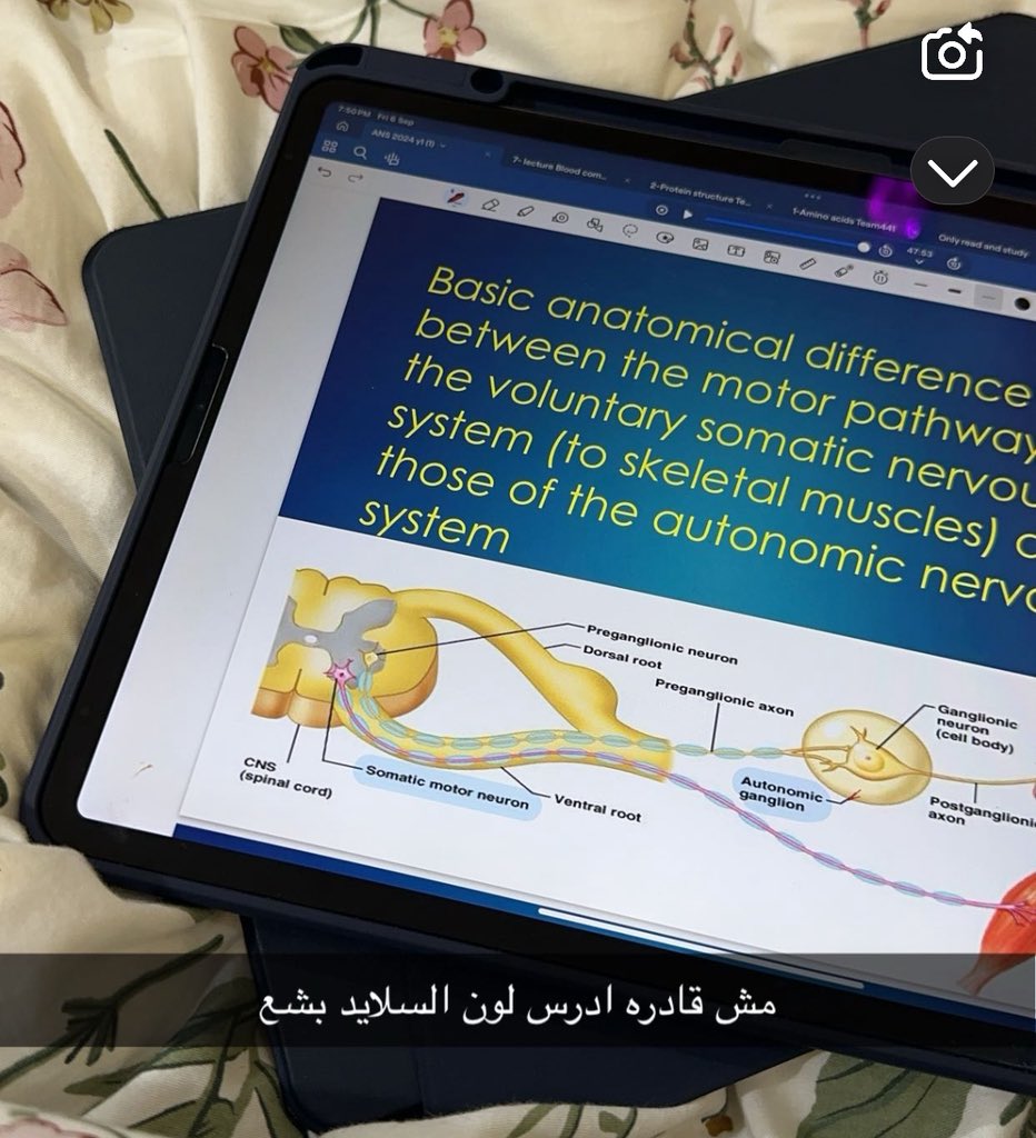 فعلا بدايتي بالطب: