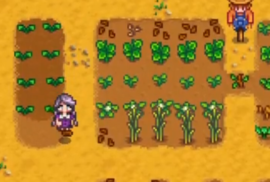 itsAinne's tweet photo. come chill w/ ainne &amp; some stardew~ https://t.co/2HL28LQBNj