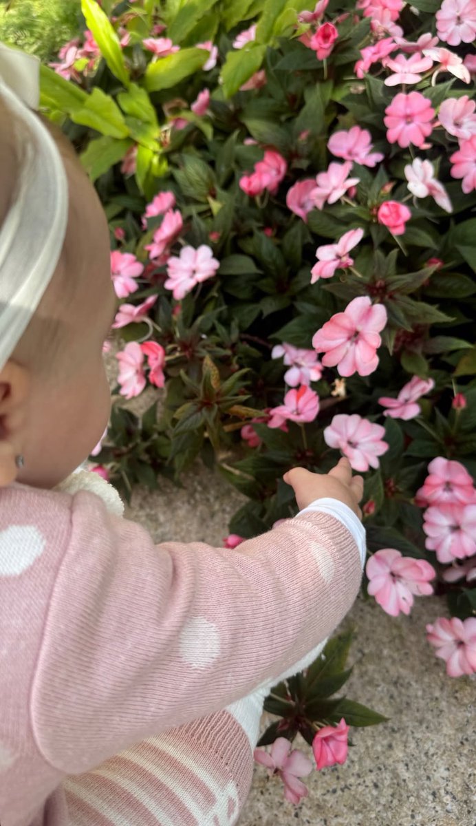 mundinho serena magalhães santana 🤏🏽🩷