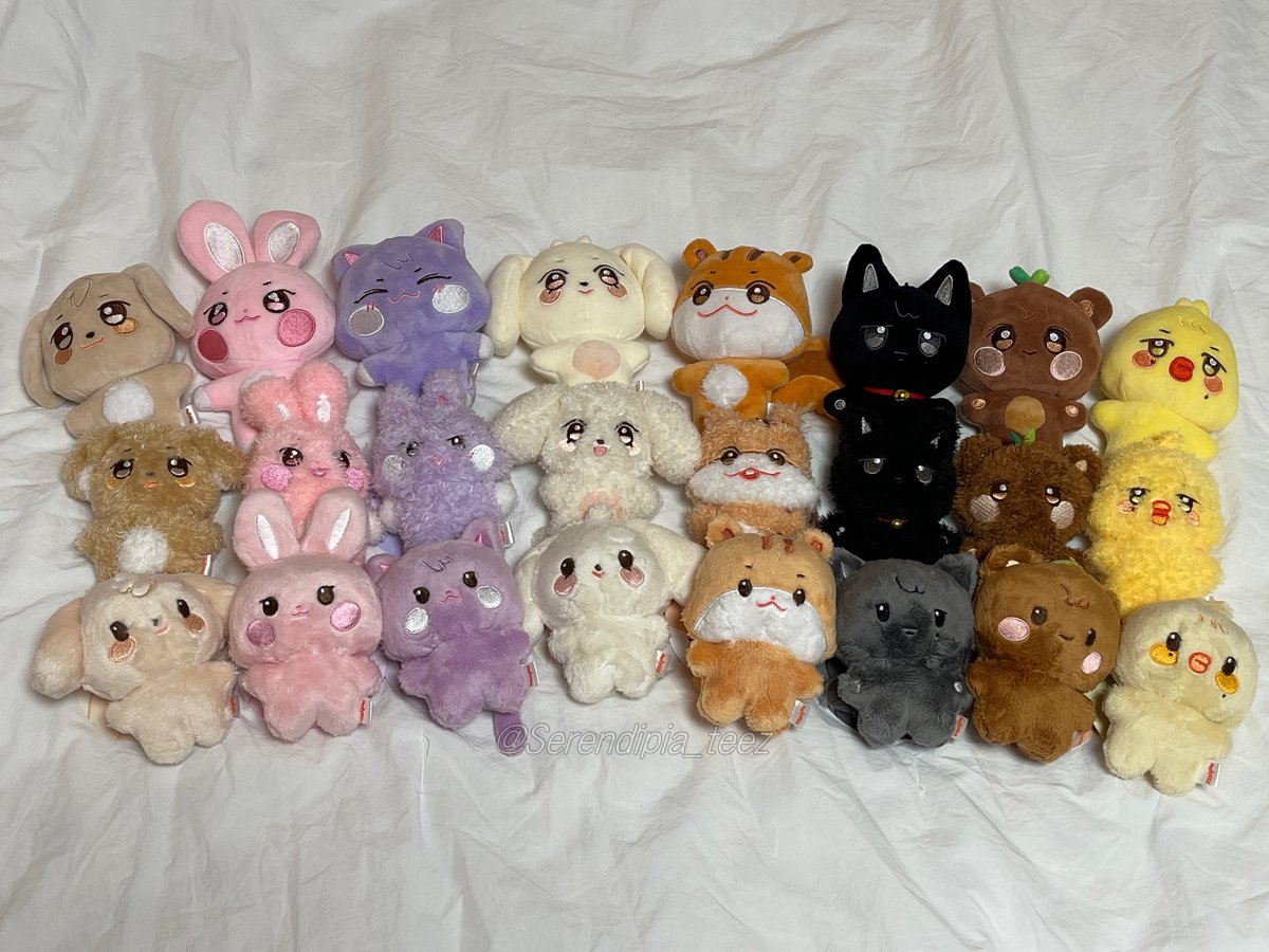 아가들 모두 여기 볼게요오- 찰칵.ᐟ📸