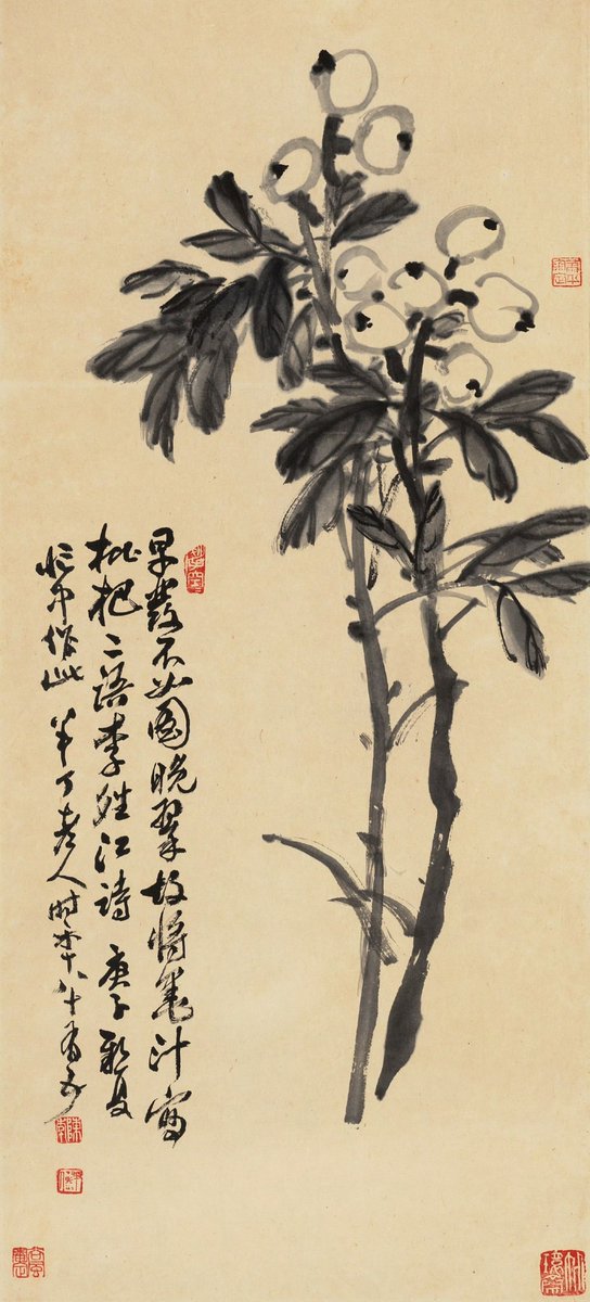 枇杷
#互关互赞