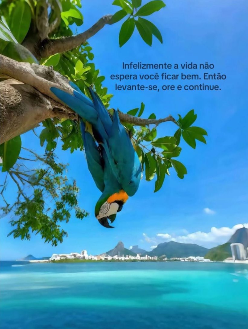 365 mensagens (@365mensagens) on Twitter photo 