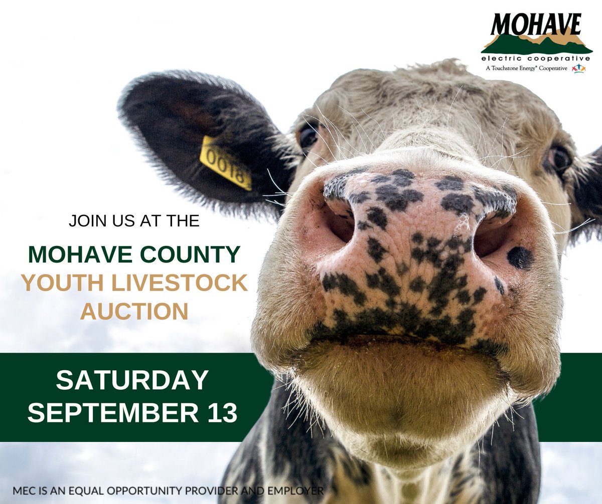 MohaveElectric's tweet image. Join us Saturday, Sept. 13 for the Mohave County Youth Livestock Auction at the Mohave County Fair Grounds! Come celebrate the hard work of our young farmers. MEC is proud to support our community – powered by you! #concernforcommunity