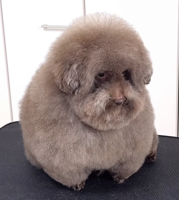 Beter Perger tweet media