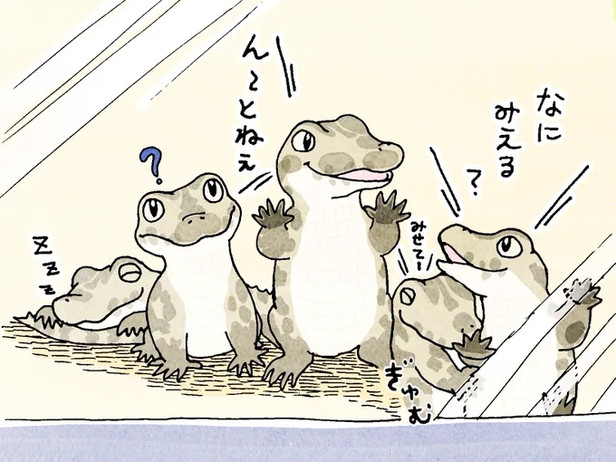 みんなでこんなお話してたりして🐊 
