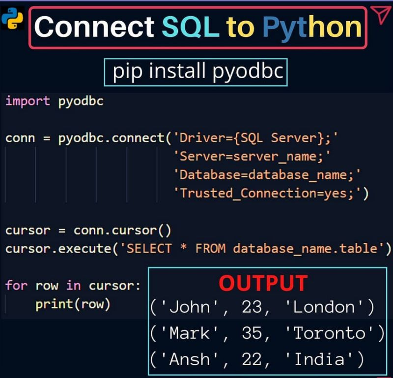 Python Programming tweet media